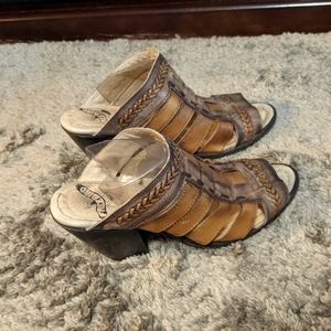 Freebird by Steven Falcon Mule